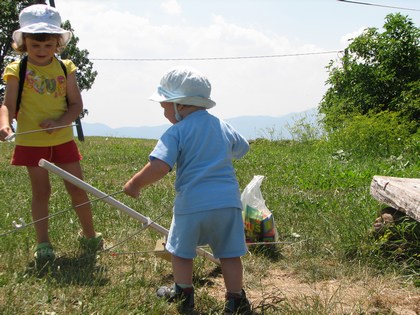 &quot;Ej, kam gre že ta element?&quot;  FOTO:S56ZZZ