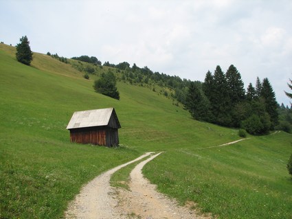 Pogled proti vrhu