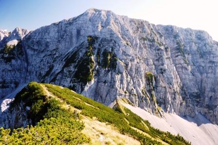 Veliki vrh z grebena Košutice.jpg