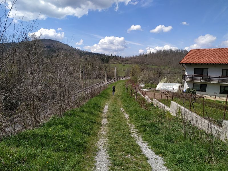 osojnica_desno ob progi_800.jpg