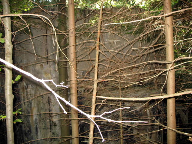 IMG_1580.JPG