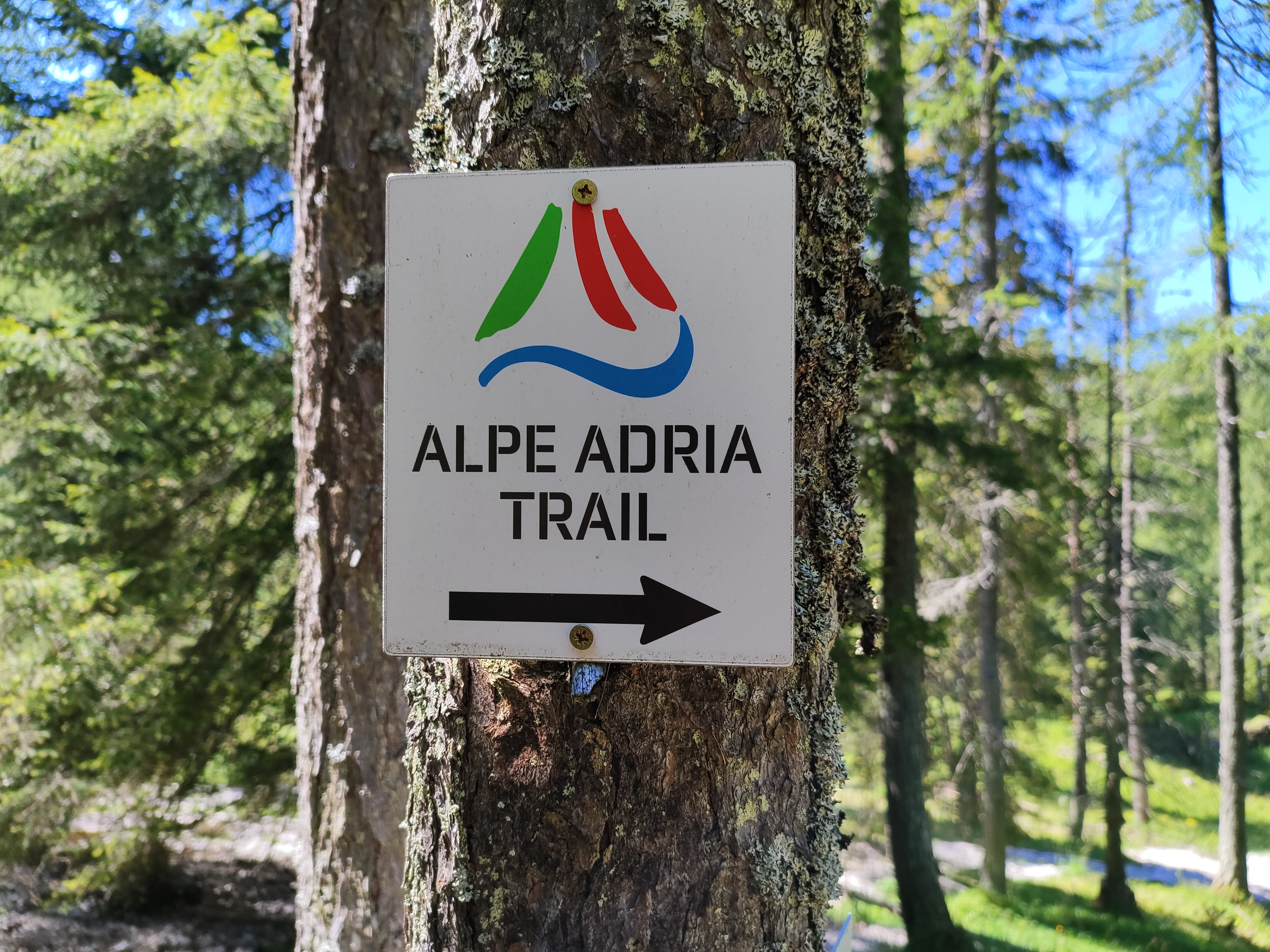 TP7_Alpe_Adria_TRAIL.jpg