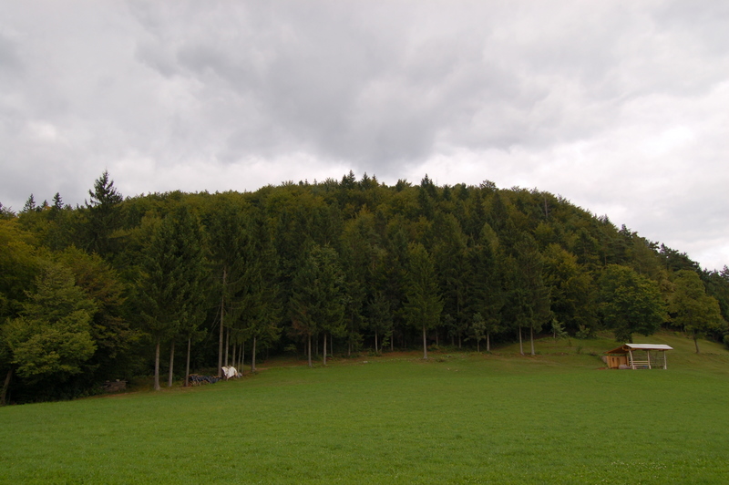 Pogled proti Velinku (809m)
