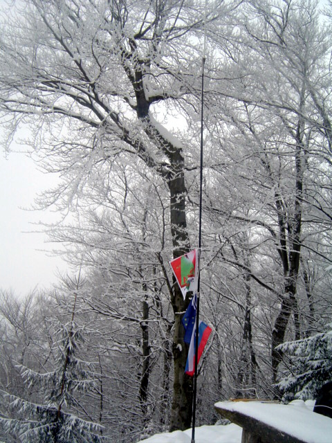 zakaj je antena  bele barve HI