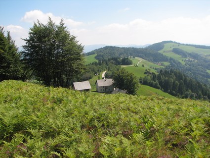 Domačija tik pod vrhom