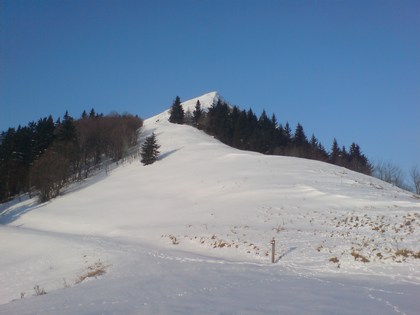 Pogled proti mali Golici iz sedla Suha