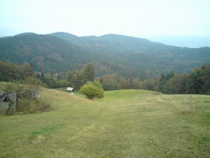Prečiti moramo te pašnike. V ozadju na sredini Planski vrh (vsaj mislim).