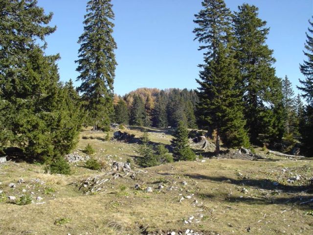 Planina Zg. Konjščica